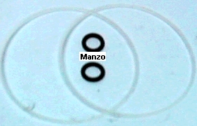 GUARNIZIONE KIT X KG200 040150