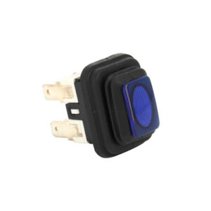 PULSANTE LUMINOSO 19X13 4C LUCE FROG BLU