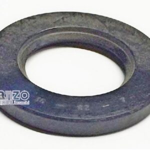 ANELLO TENUTA 36X62X7