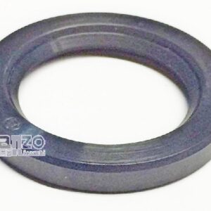 ANELLO TENUTA 38X55X7