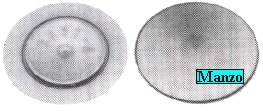 CAPPELLOTTO MEDIO TIPO NUOVO D.60 (CAPPELLOTTO 403665 - BRUCIATORE 415765)