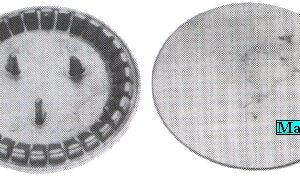 SPARTIFIAMMA GRANDE D.89 (BRUCIATORE 416260)