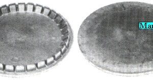 SPARTIF. GRANDE D.93 (BRUCIATORE 416992)