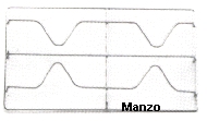 GRIGLIA 2 FUOCHI 423X243