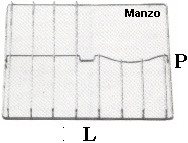 GRIGLIA 3 FUOCHI 424X475