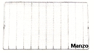 GRIGLIA 2 FUOCHI 452X280