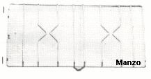 GRIGLIA 2 FUOCHI 270X511 SX