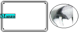 GUARNIZIONE PORTA FORNO 340X390 SZ.B 4G