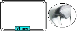 GUARNIZIONE PORTA FORNO 220X340 SZ.B