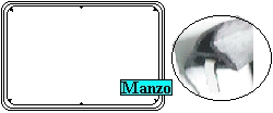 GUARNIZIONE PORTA FORNO 310X580 6GANGI
