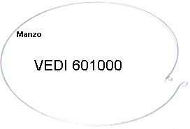 ANELLO FISS. VEDI.601000