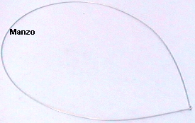 ANELLO FISS.OBLO' LB ANTERIORE