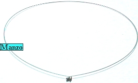 ANELLO FISS.OBLO' ANTERIORE SILTAL