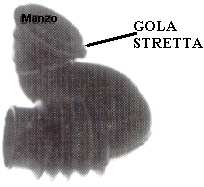 CARICO DETERSIVO.5016