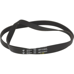 CINGHIA RIGATA EL 1067 H7