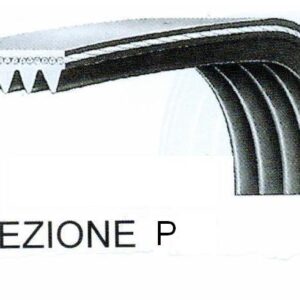CINGHIA RIGATA SEPH 1144-1145