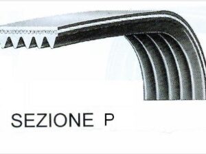CINGHIA RIGATA 8PHE1156