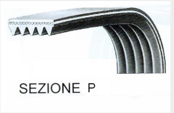CINGHIA RIGATA 8PHE1156
