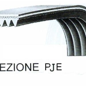 CINGHIA RIGATA 1216 PJE 6
