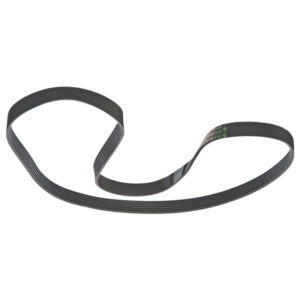 CINGHIA RIGATA 1246 5PJE