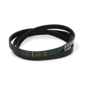 CINGHIA RIGATA EL1248 J4