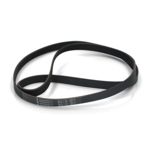 CINGHIA RIGATA PV1280-82 J5-6