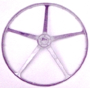 PULEGGIA CESTO